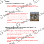 Vorschaubild von Arbeitsblatt