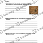 Vorschaubild von Arbeitsblatt