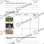 Vorschaubild von Arbeitsblatt