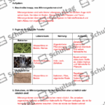 Vorschaubild von Arbeitsblatt