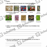 Vorschaubild von Arbeitsblatt