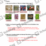 Vorschaubild von Arbeitsblatt