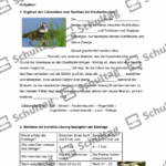 Vorschaubild von Arbeitsblatt