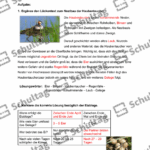 Vorschaubild von Arbeitsblatt