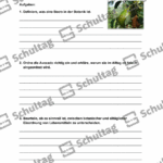 Vorschaubild von Arbeitsblatt