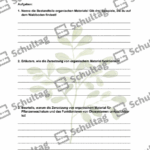 Vorschaubild von Arbeitsblatt