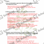 Vorschaubild von Arbeitsblatt