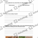 Vorschaubild von Arbeitsblatt