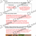 Vorschaubild von Arbeitsblatt