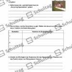 Vorschaubild von Arbeitsblatt