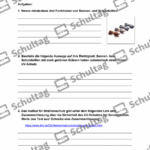 Vorschaubild von Arbeitsblatt