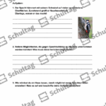 Vorschaubild von Arbeitsblatt