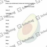 Vorschaubild von Arbeitsblatt