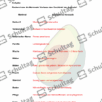 Vorschaubild von Arbeitsblatt