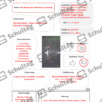 Vorschaubild von Arbeitsblatt