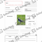 Vorschaubild von Arbeitsblatt