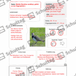 Vorschaubild von Arbeitsblatt