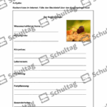 Vorschaubild von Arbeitsblatt