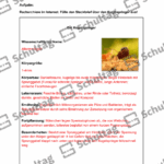 Vorschaubild von Arbeitsblatt