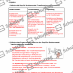 Vorschaubild von Arbeitsblatt