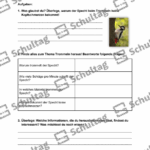 Vorschaubild von Arbeitsblatt