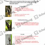 Vorschaubild von Arbeitsblatt