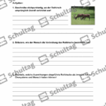 Vorschaubild von Arbeitsblatt