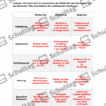 Vorschaubild von Arbeitsblatt