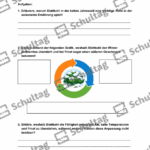 Vorschaubild von Arbeitsblatt