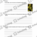 Vorschaubild von Arbeitsblatt