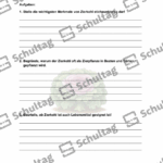 Vorschaubild von Arbeitsblatt