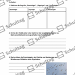 Vorschaubild von Arbeitsblatt