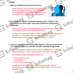 Vorschaubild von Arbeitsblatt