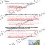 Vorschaubild von Arbeitsblatt