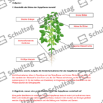 Vorschaubild von Arbeitsblatt