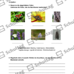 Vorschaubild von Arbeitsblatt