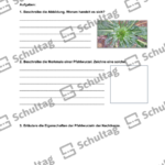 Vorschaubild von Arbeitsblatt