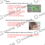 Vorschaubild von Arbeitsblatt