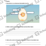 Vorschaubild von Arbeitsblatt