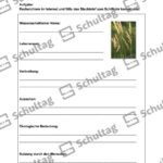 Vorschaubild von Arbeitsblatt