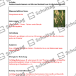 Vorschaubild von Arbeitsblatt