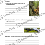 Vorschaubild von Arbeitsblatt