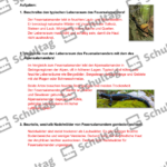 Vorschaubild von Arbeitsblatt