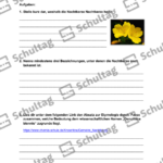 Vorschaubild von Arbeitsblatt