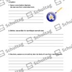 Vorschaubild von Arbeitsblatt