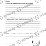 Vorschaubild von Arbeitsblatt