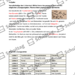 Vorschaubild von Arbeitsblatt