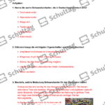 Vorschaubild von Arbeitsblatt
