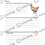 Vorschaubild von Arbeitsblatt