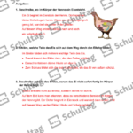 Vorschaubild von Arbeitsblatt